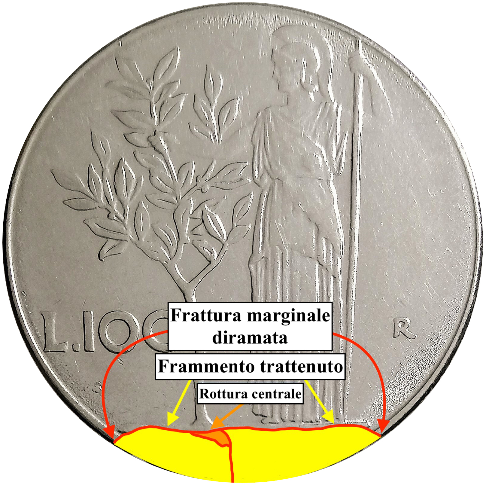 sena coins